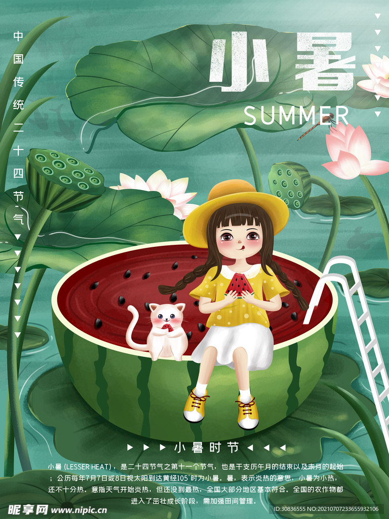 小暑海报 