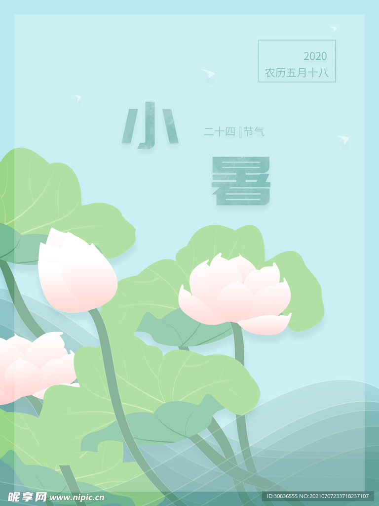 小暑海报
