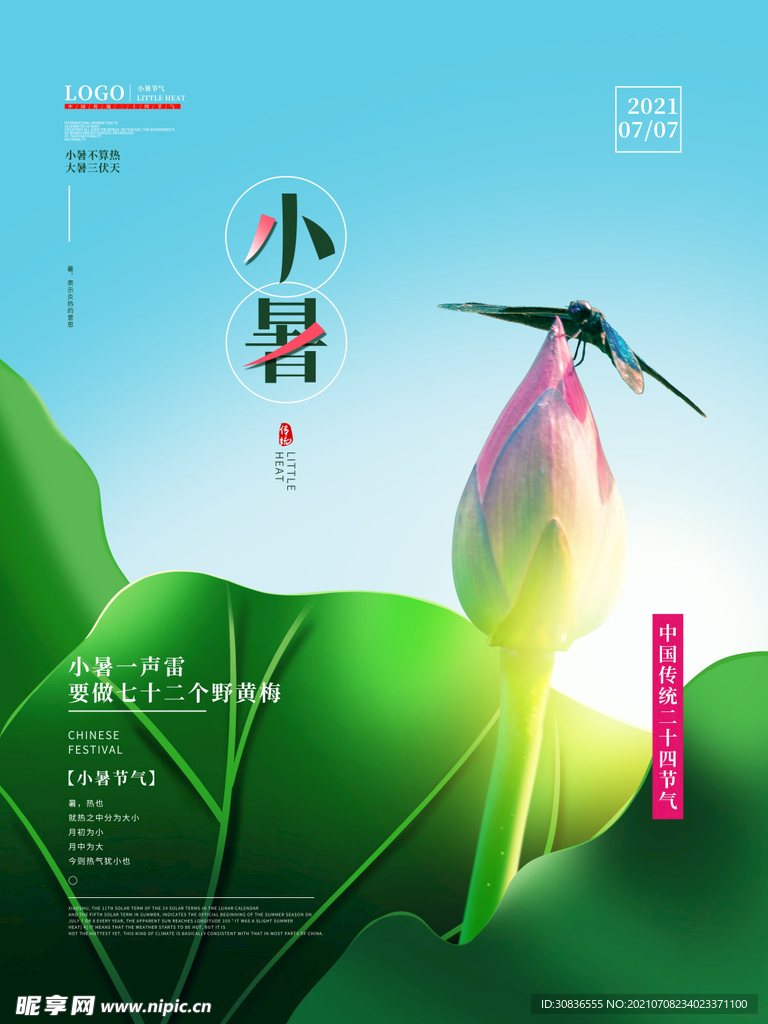 小暑海报 