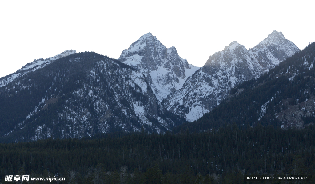 山