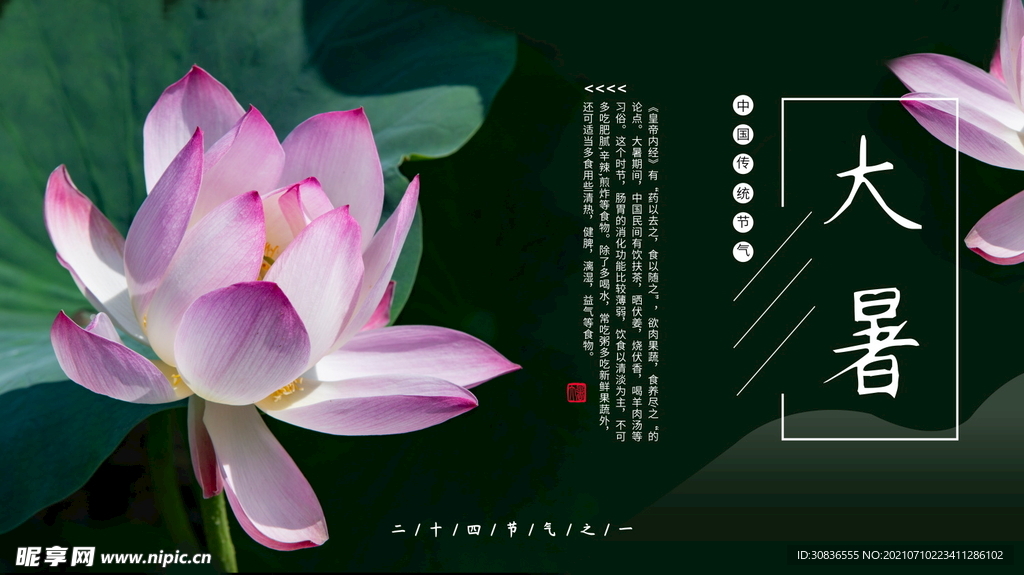 大暑海报 