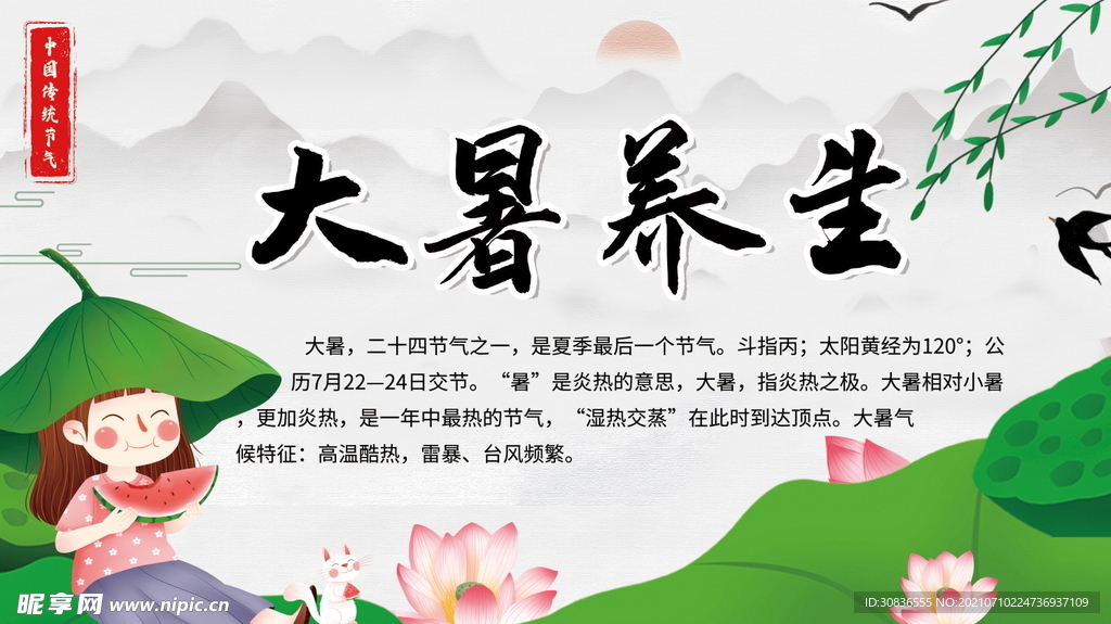 大暑海报 