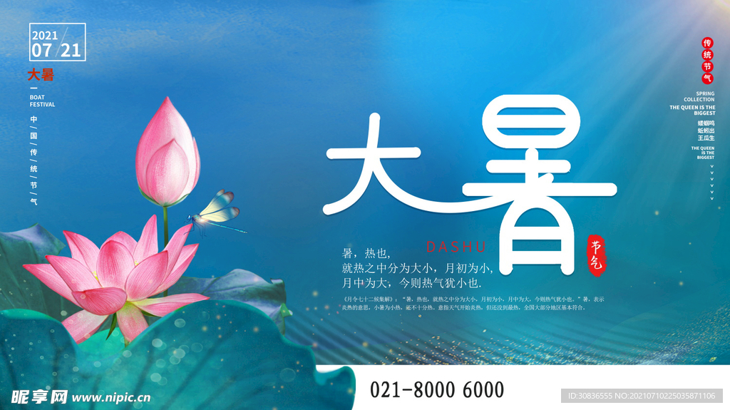 大暑海报 