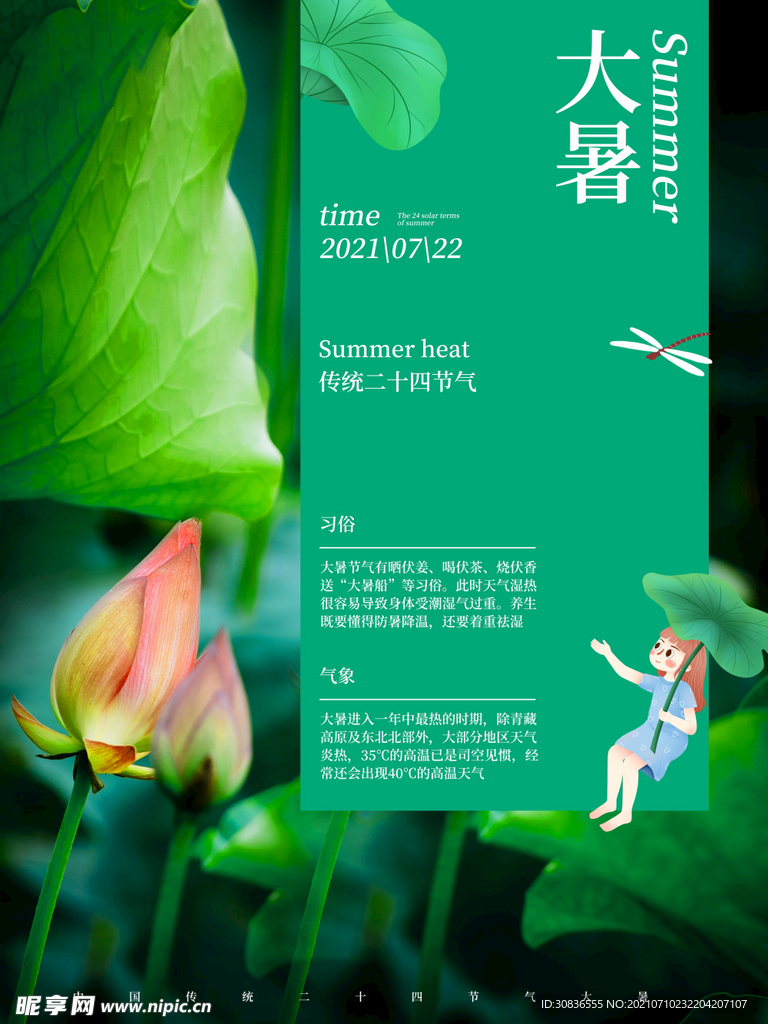大暑海报