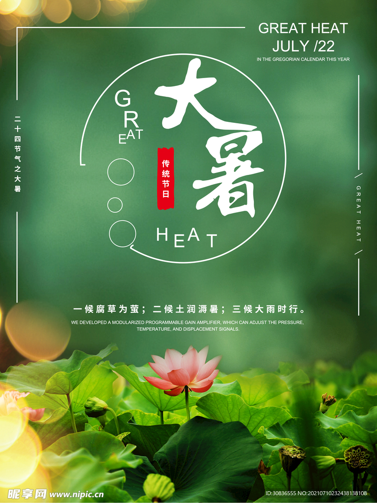大暑海报 