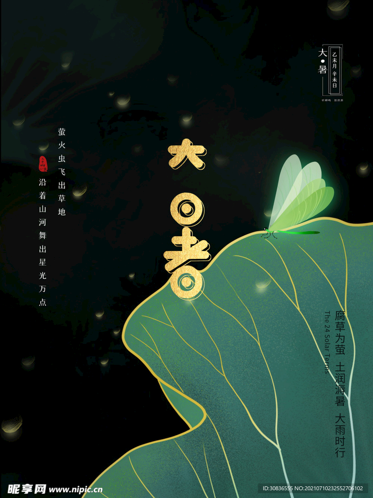 大暑海报 