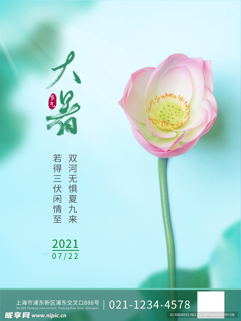 大暑海报