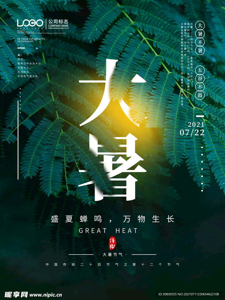 大暑海报 