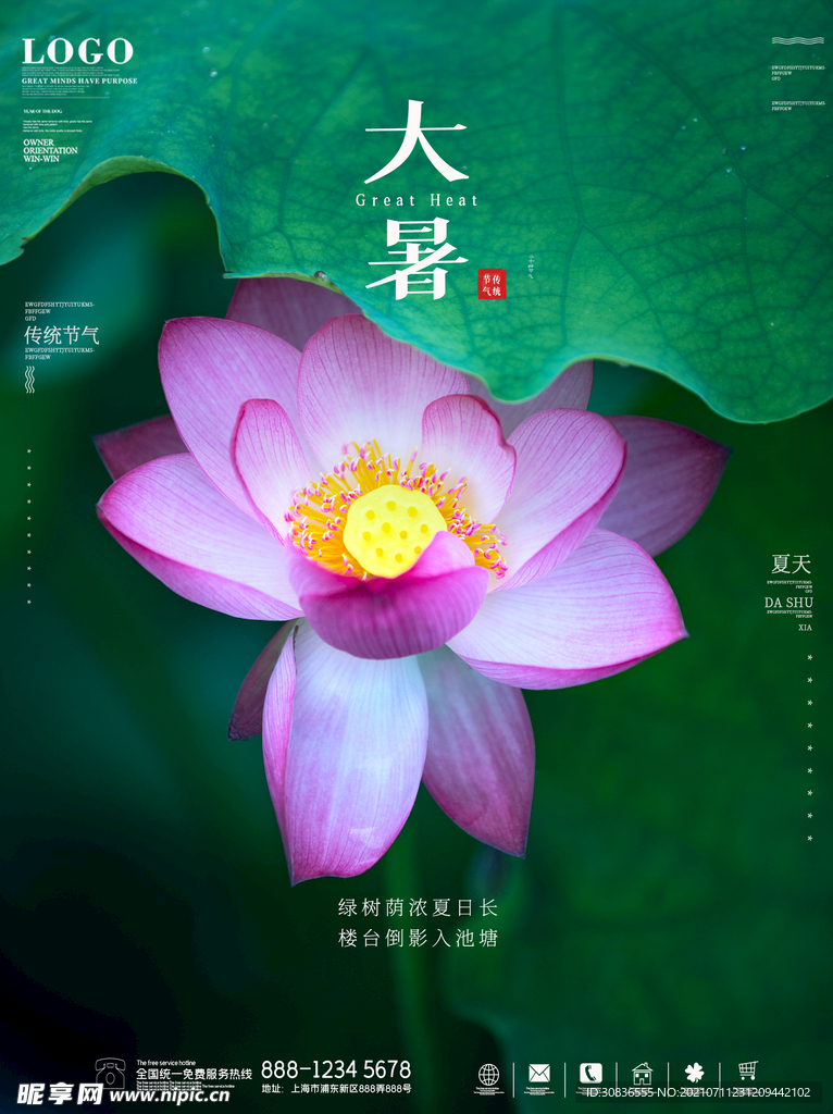  大暑海报 
