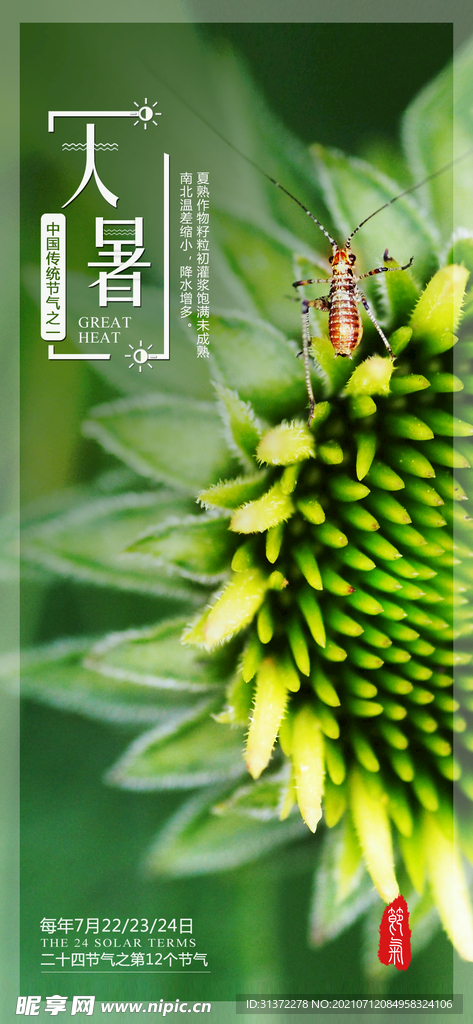 24节气之大暑海报设计图片