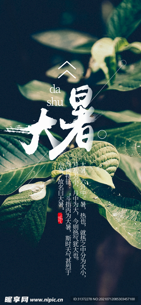 24节气之大暑海报设计图片