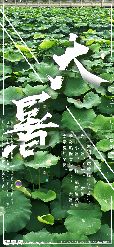  24节气之大暑海报设计图片