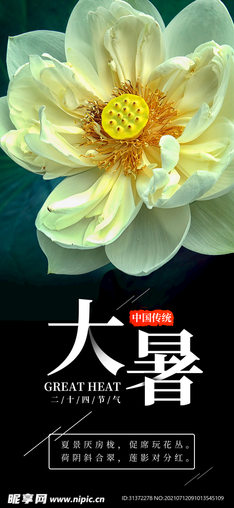 24节气之大暑海报设计图片