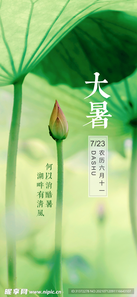  24节气之大暑海报设计图片