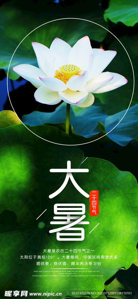  24节气之大暑海报设计图片