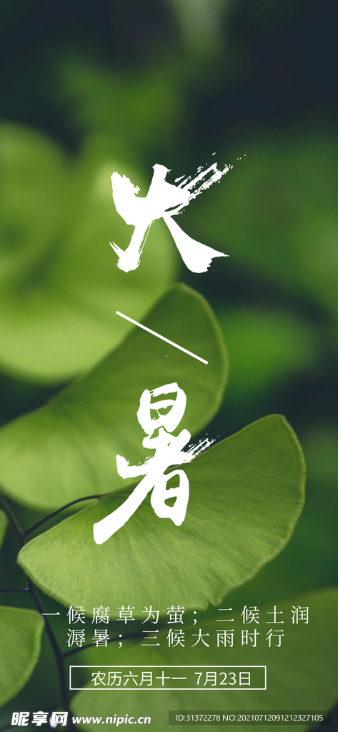 24节气之大暑海报设计图片