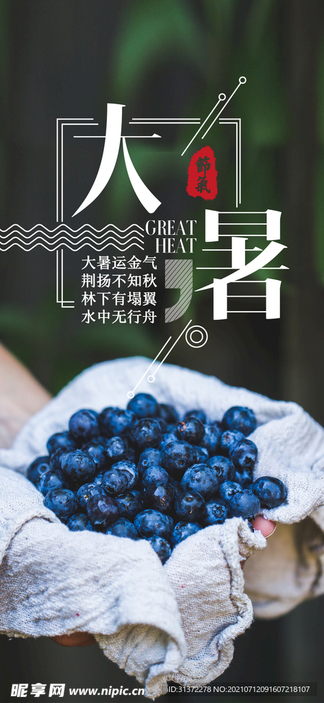  24节气之大暑海报设计图片