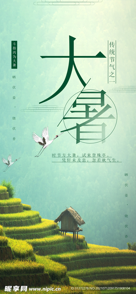 24节气之大暑海报设计图片