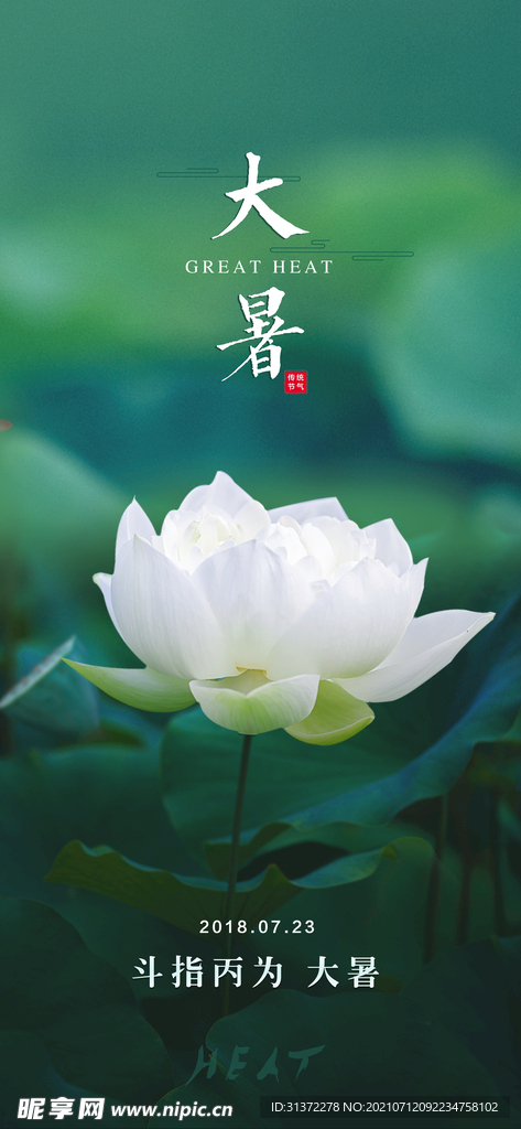 24节气之大暑海报设计图片