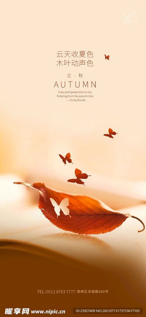 立秋海报
