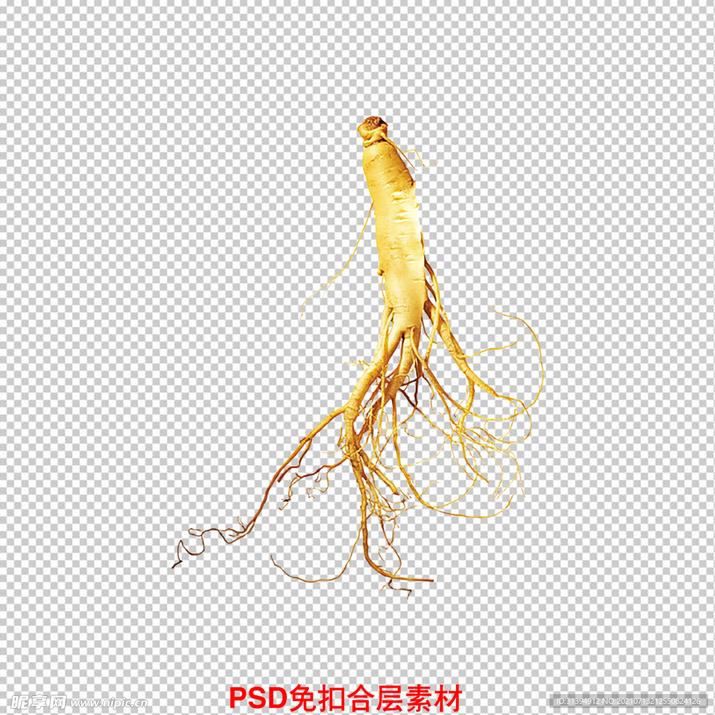 人参