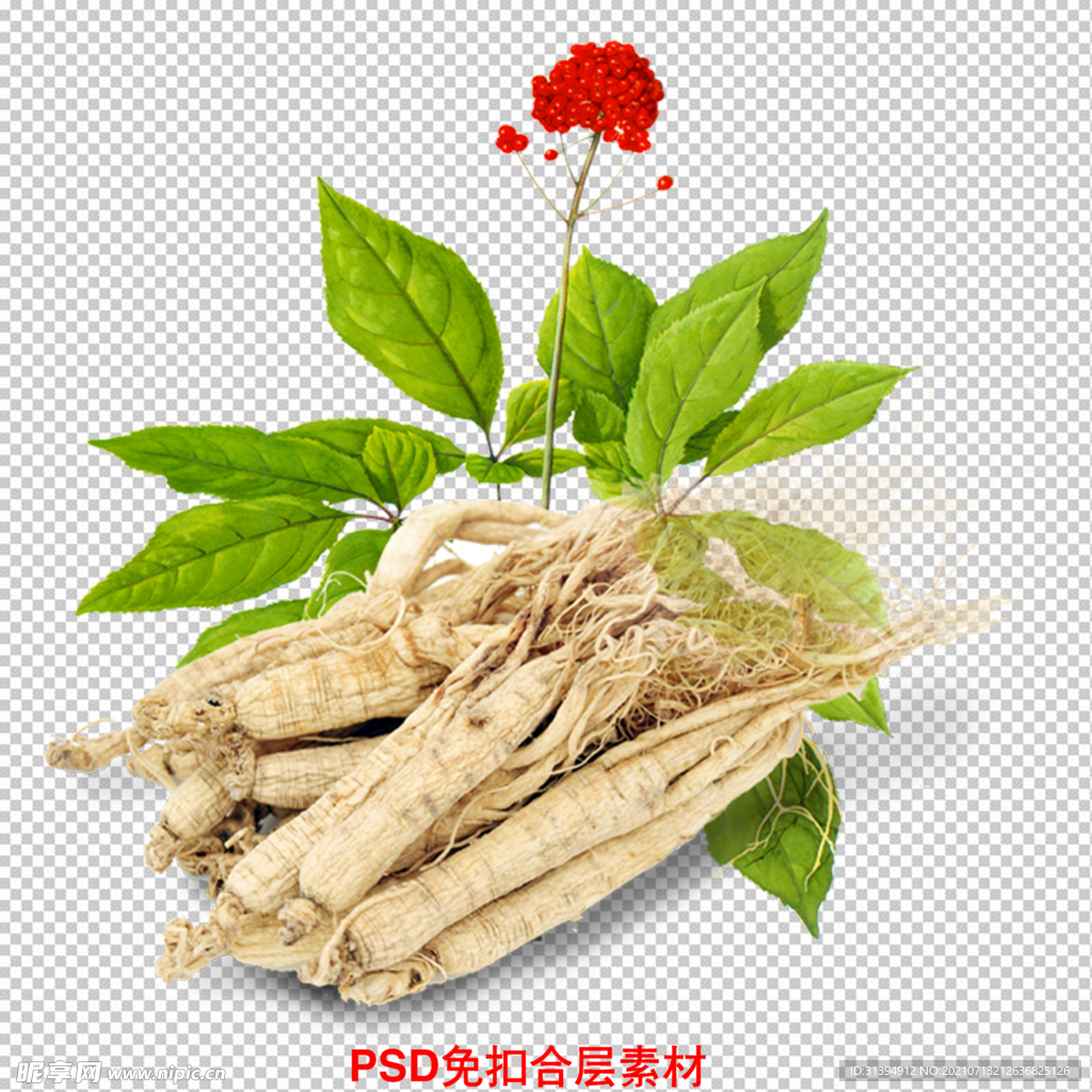 人参