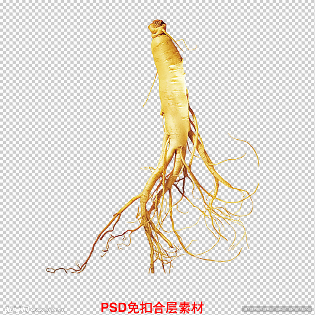 人参