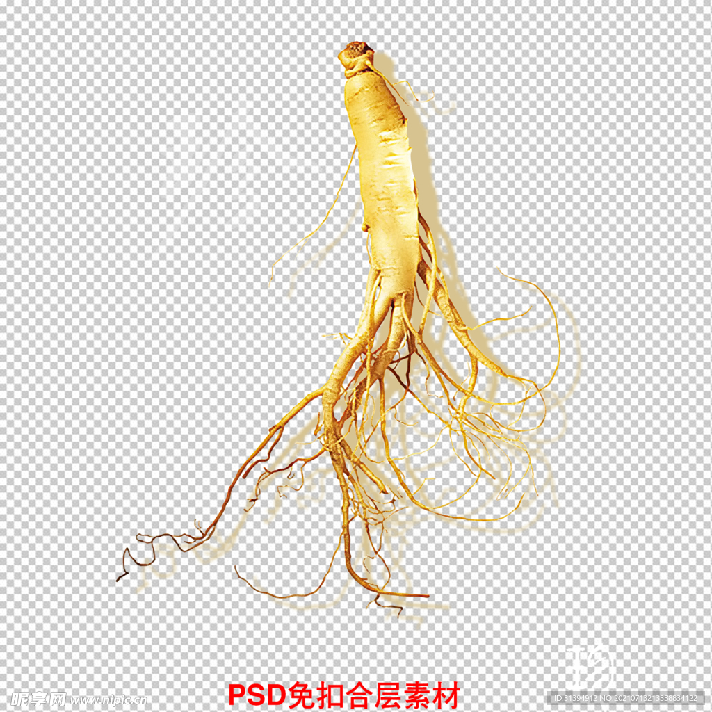 人参