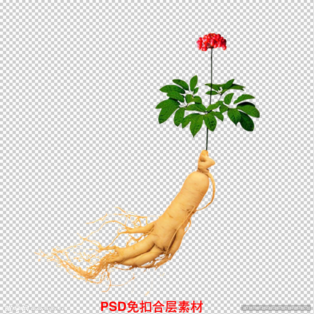 人参
