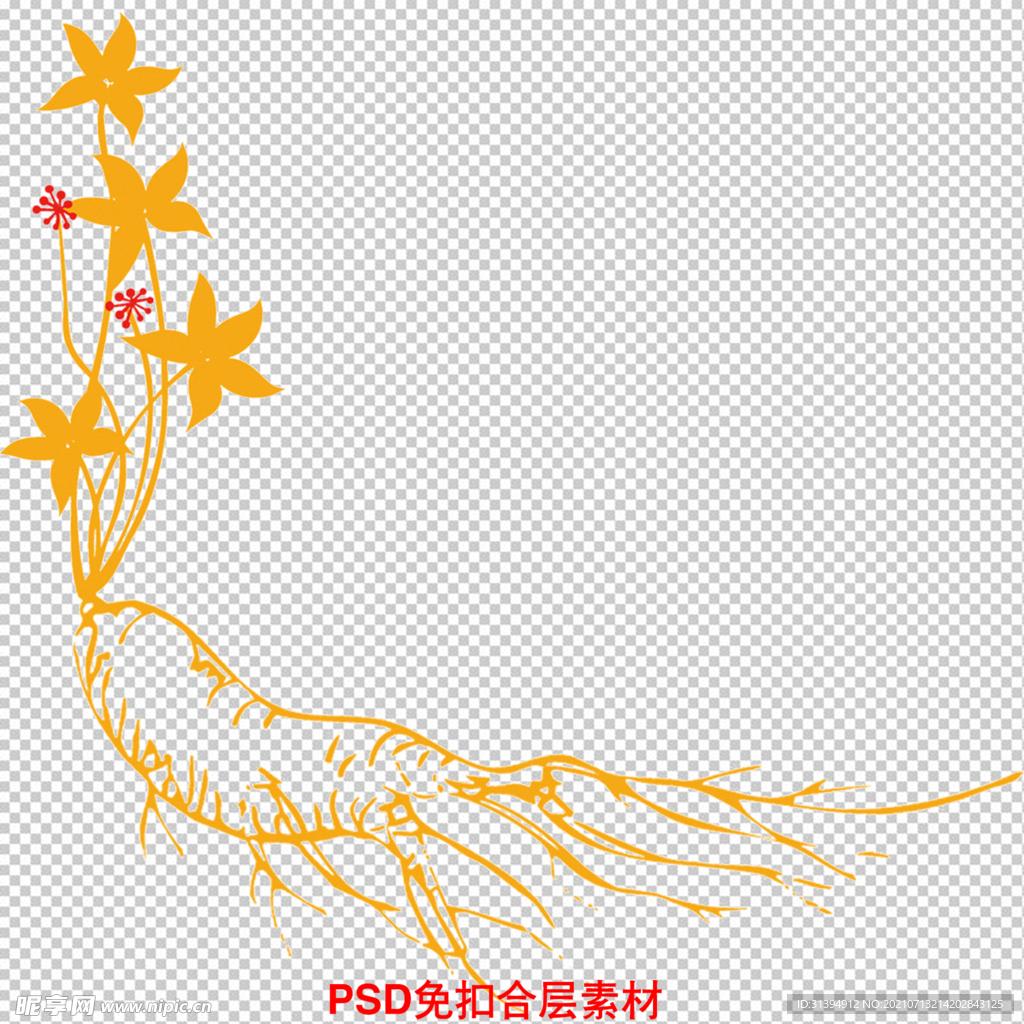 人参