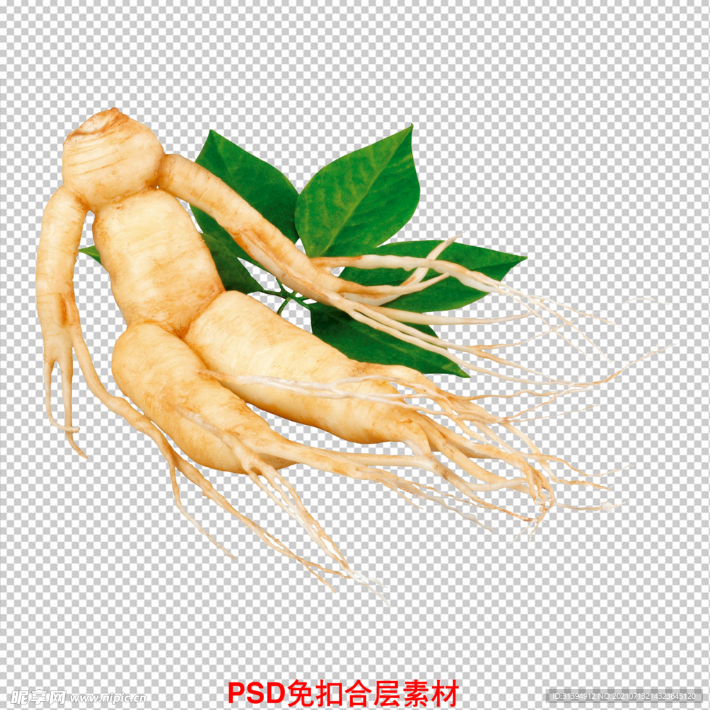 人参