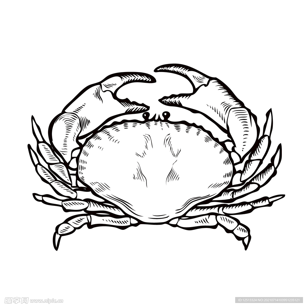 蟹