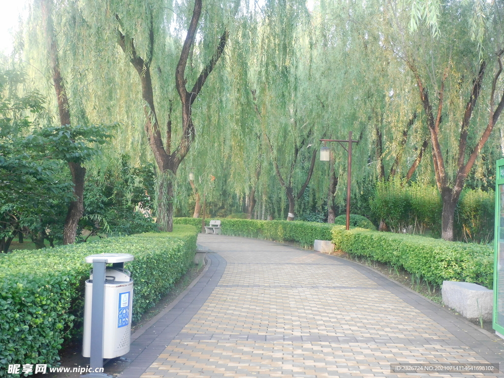 公园小路