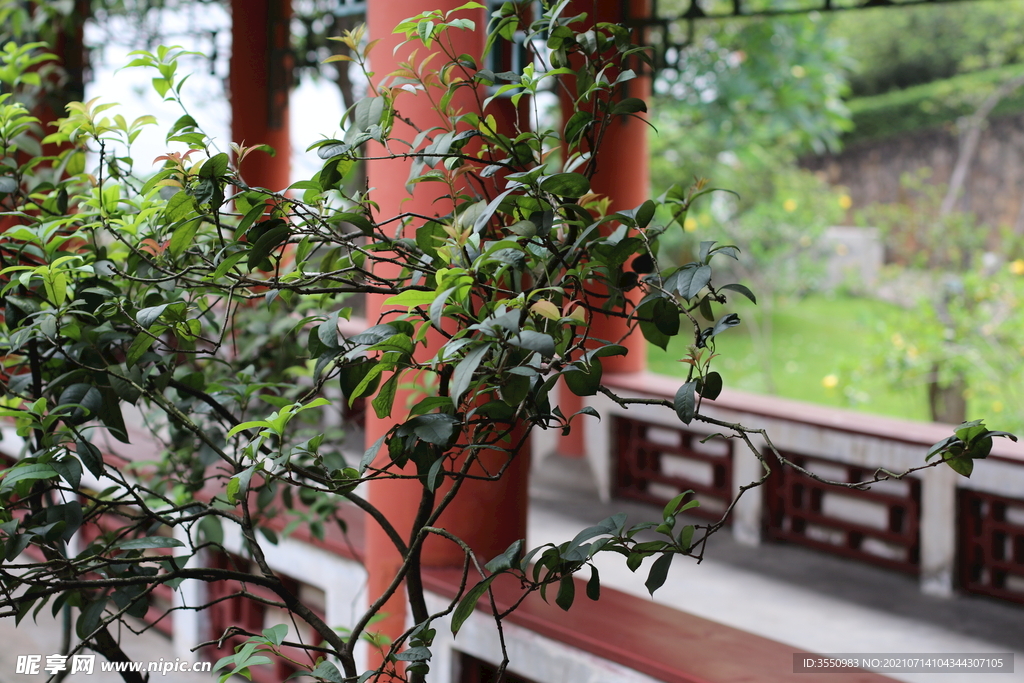 宫殿 古代 皇宫