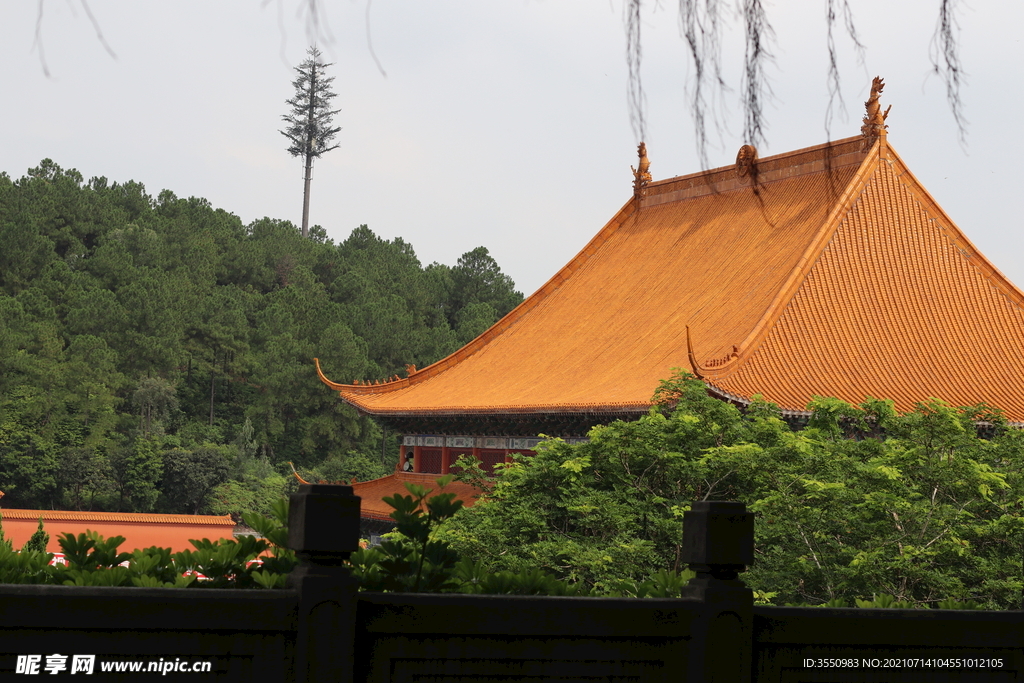 宫殿 古代 皇宫