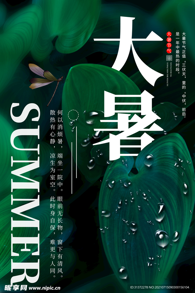  24节气之大暑海报设计图片