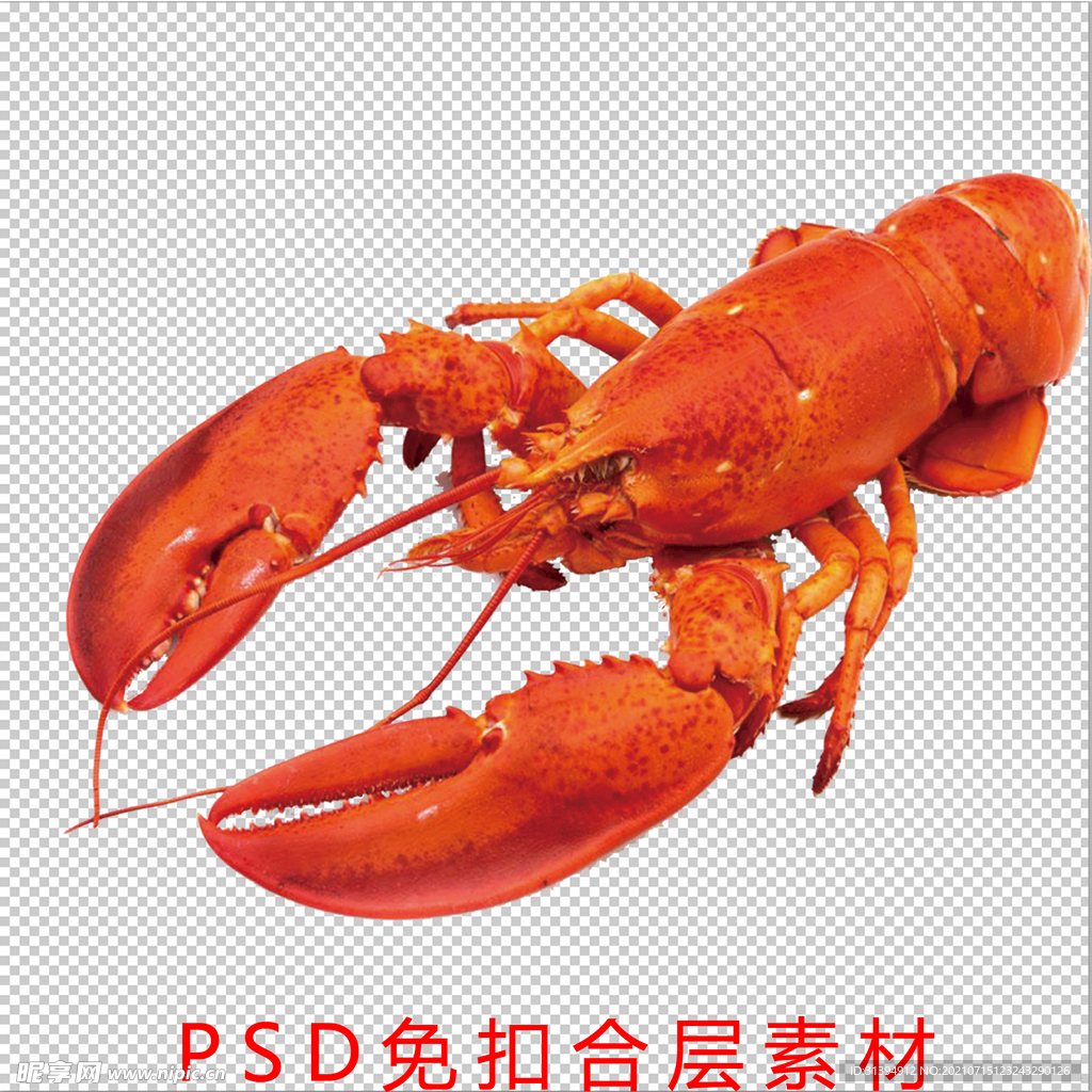 龙虾