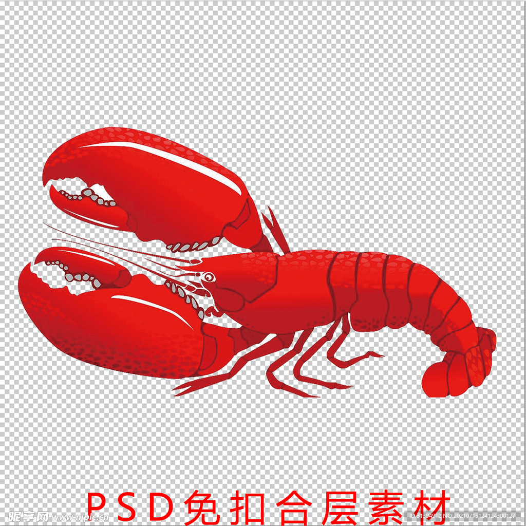 龙虾