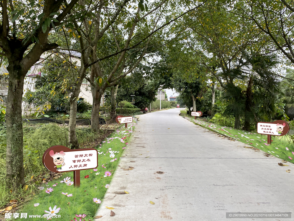 乡村公路
