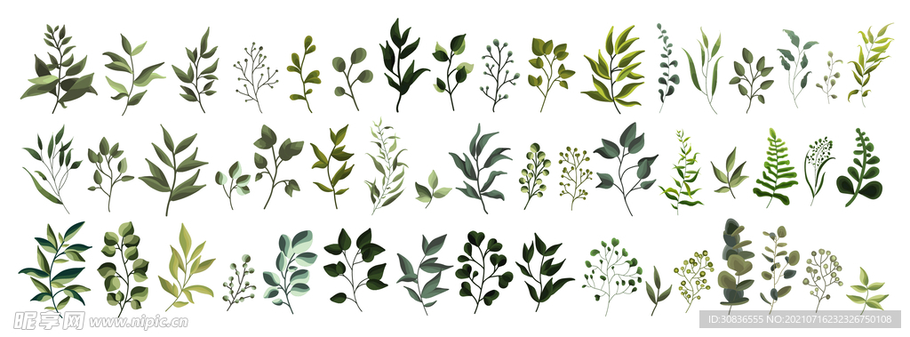 小草 树叶
