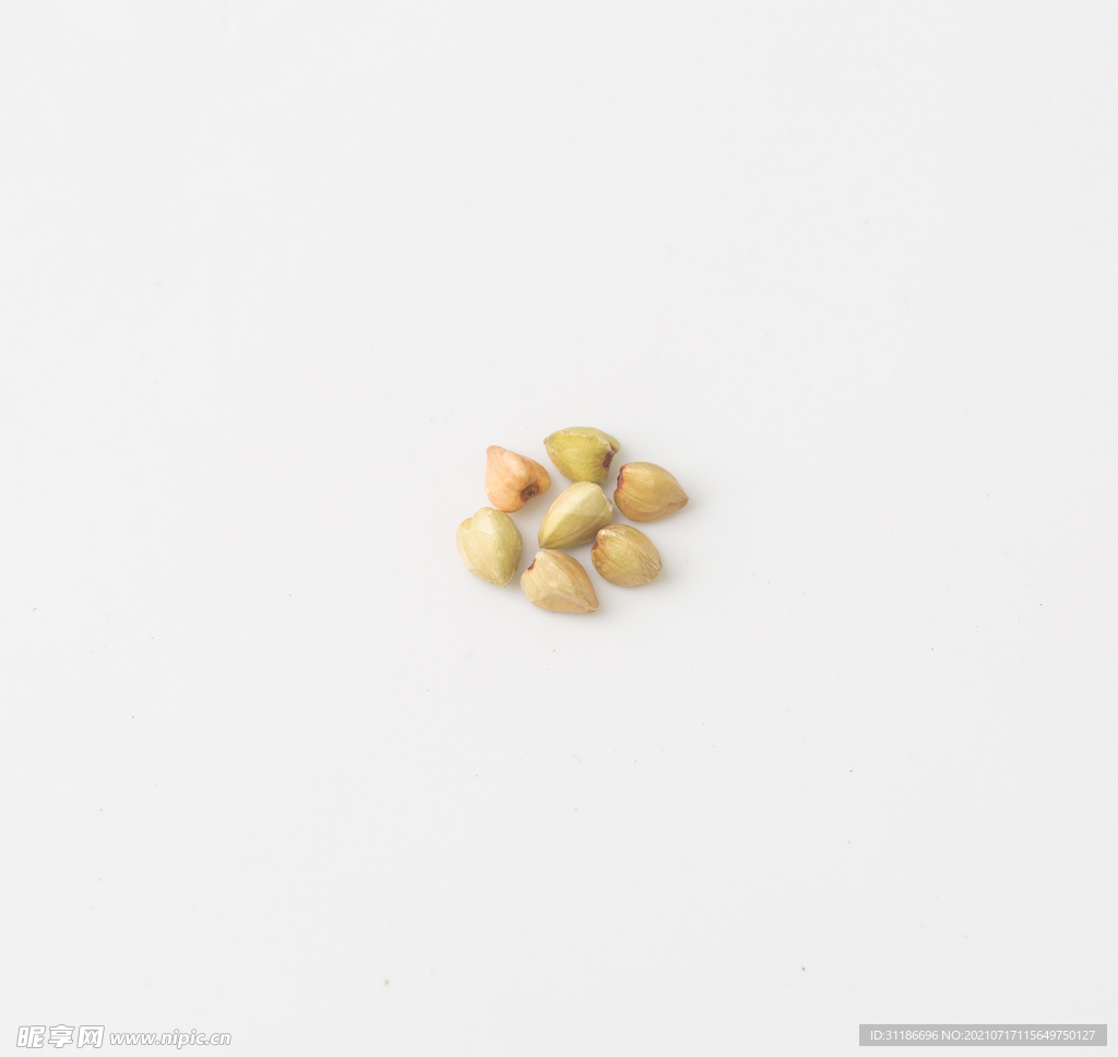 荞麦