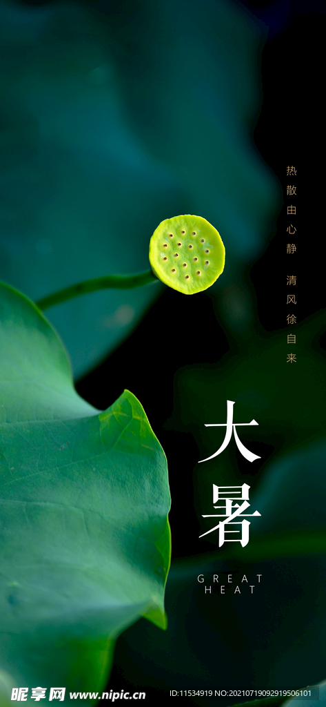 大暑节气海报