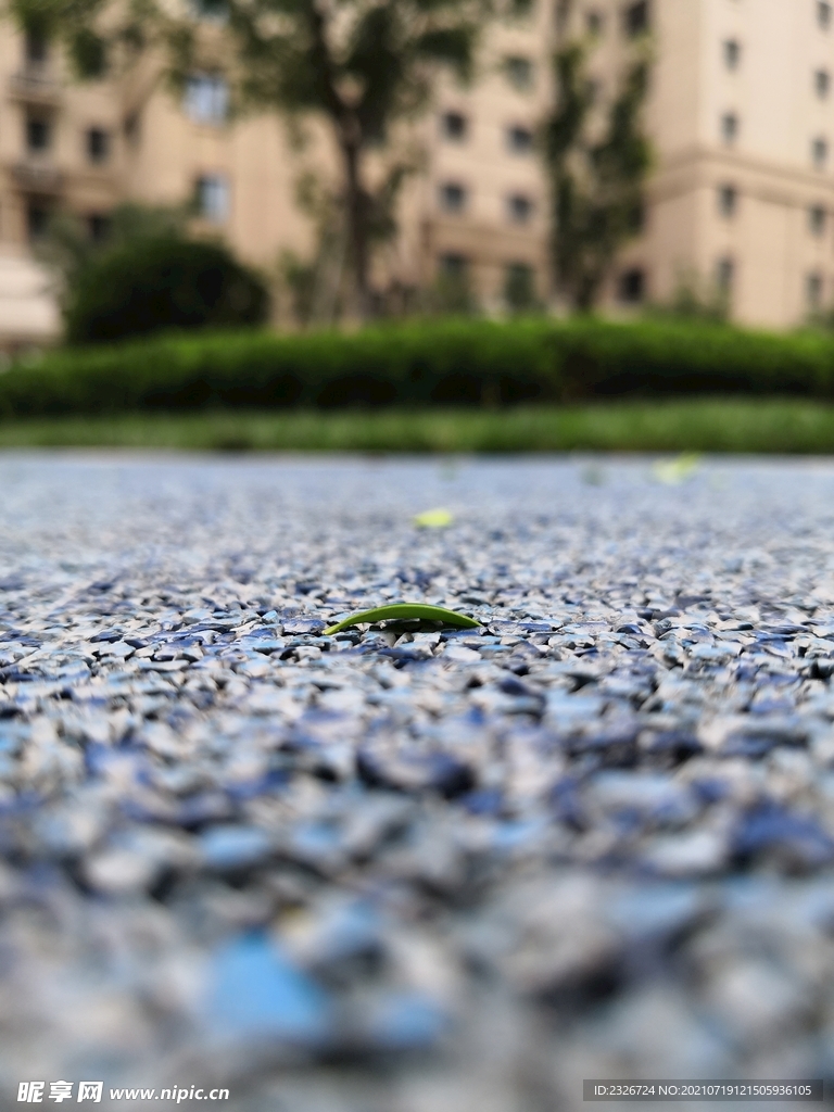 小路落叶