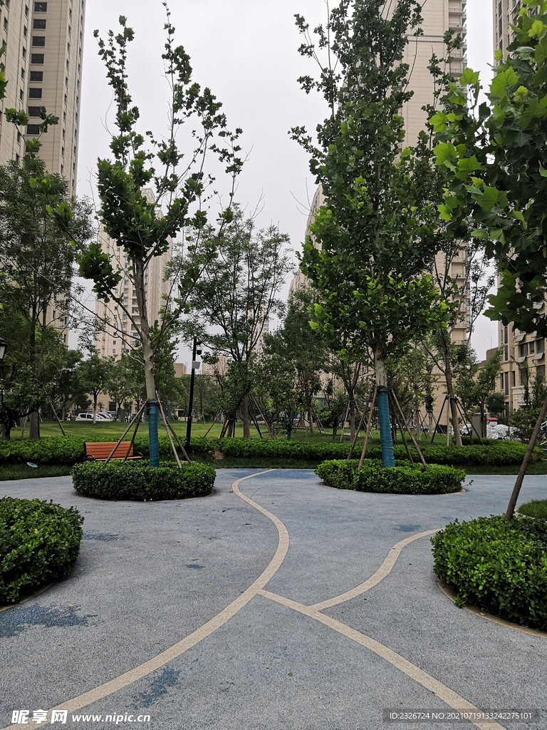 小路