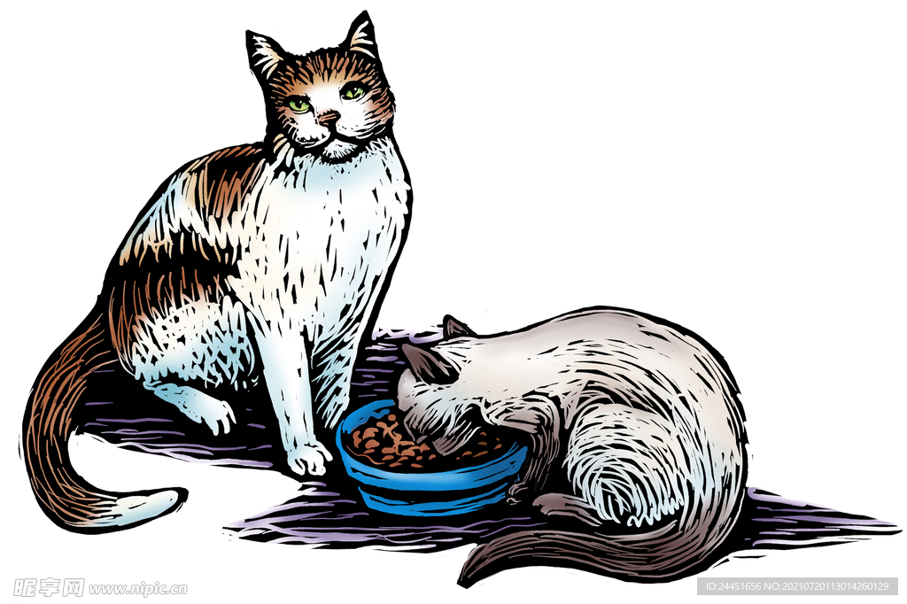 两只小猫