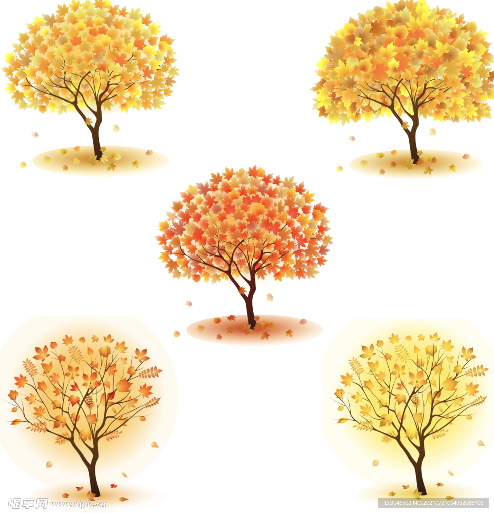 矢量枫叶枫树素材