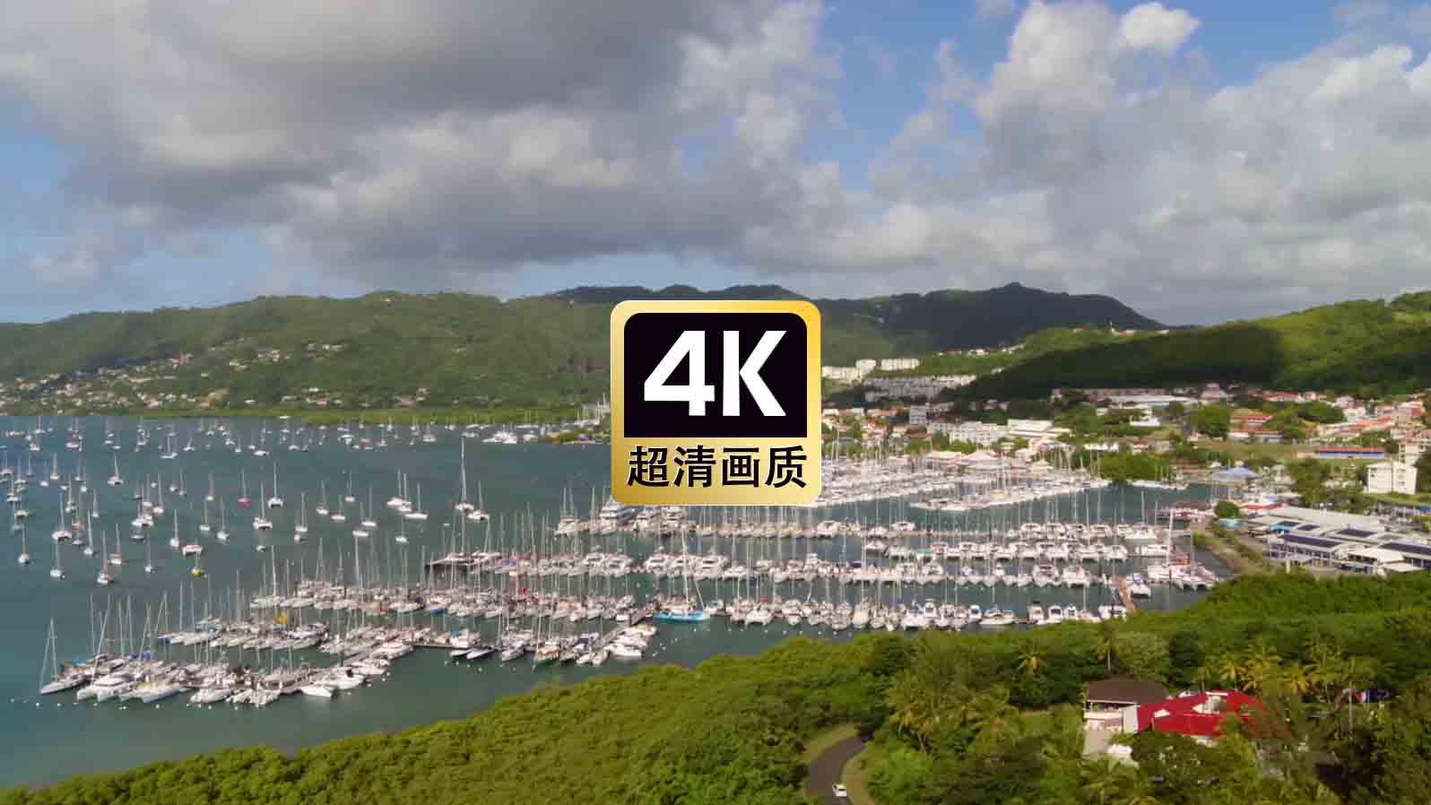 短视频素材航拍海湾停泊的游艇