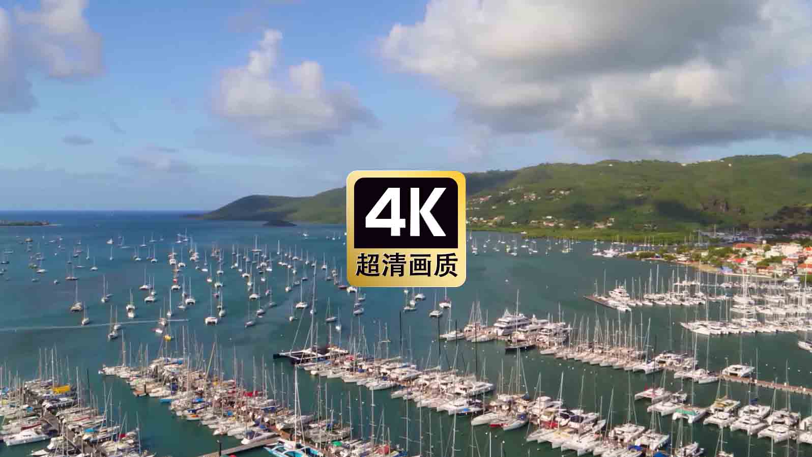 短视频素材航拍海港停泊的游艇