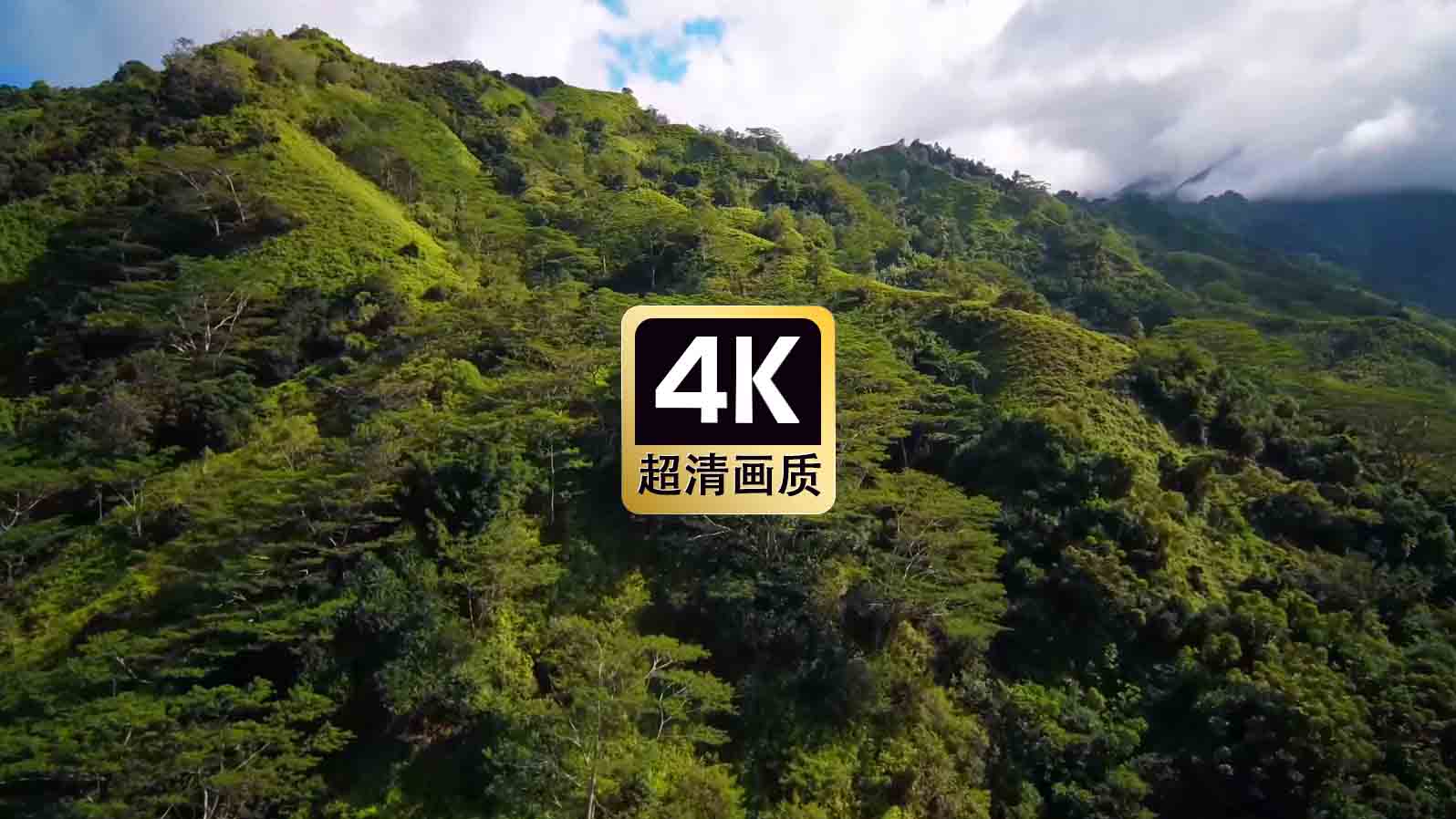 短视频素材航拍远山树林风景