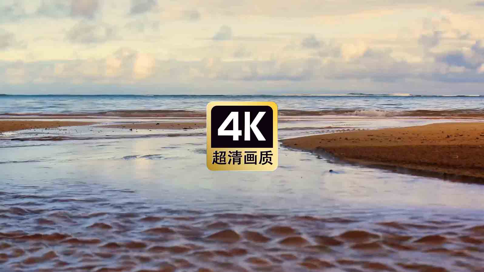 短视频素材近焦拍摄沙滩